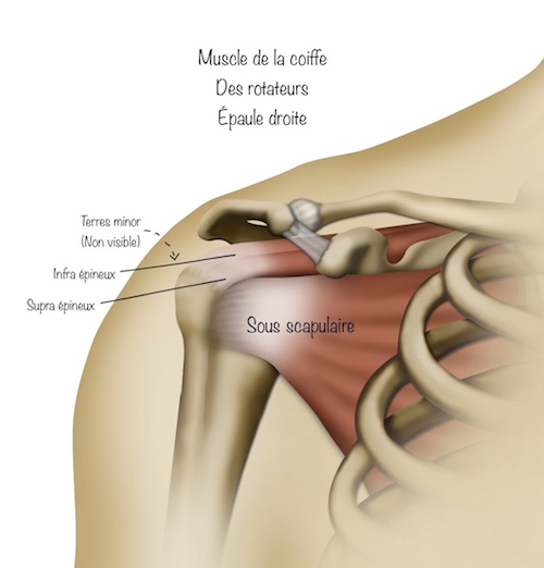 Arthrose de l'épaule et prothèse - Dr El-Sair